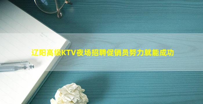 辽阳高级KTV夜场招聘促销员努力就能成功